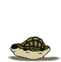[IMG]http://a1.rimg.info/0b59e6c7c4187c297f87952b038b4521.gif[/IMG]