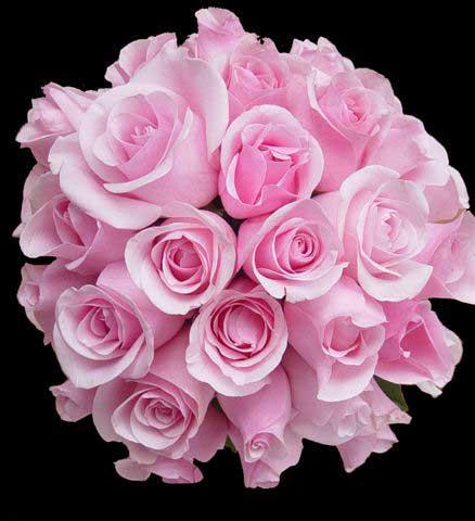 [IMG]http://img1.liveinternet.ru/images/attach/b/1/5217/5217491_FlowerPic_10.jpg[/IMG]