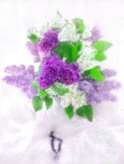 [IMG]http://s13.rimg.info/85e48de867a15c36264961035943c0f1.gif[/IMG]